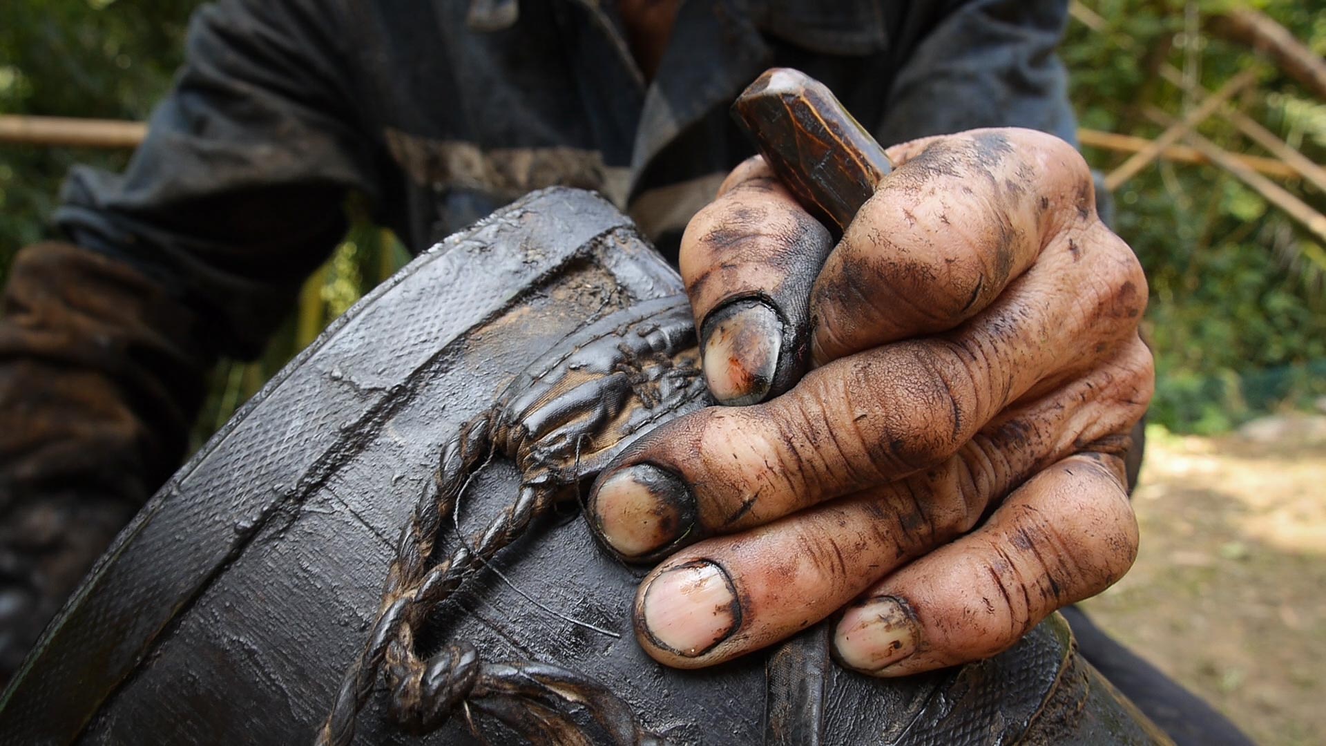 YangLaosi_Harvest_04