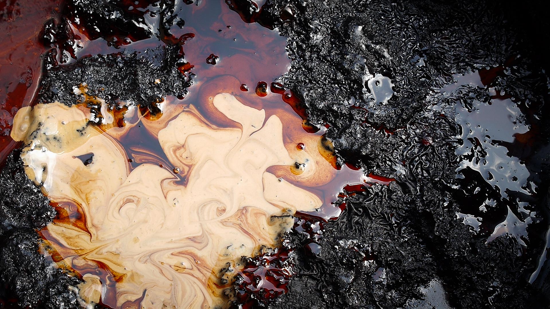 YangLaosi_Harvest_05