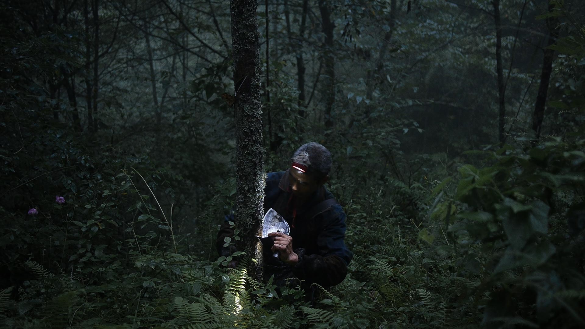 YangLaosi_Harvest_06